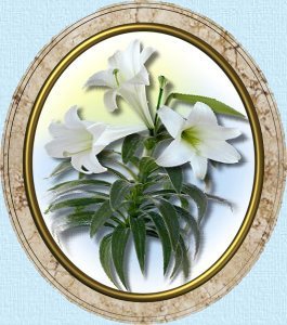 Framed picture of Easter Lilys...the promise of renewal