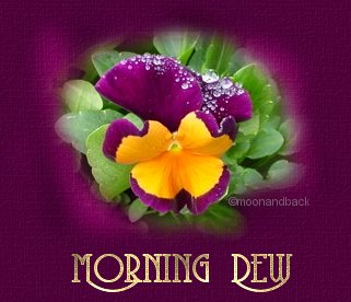 Morning Dew poem title is enhanced with beautiful pansy, photography of Moon and Back Graphics.