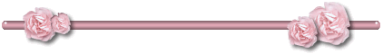 pink carnation bar divider